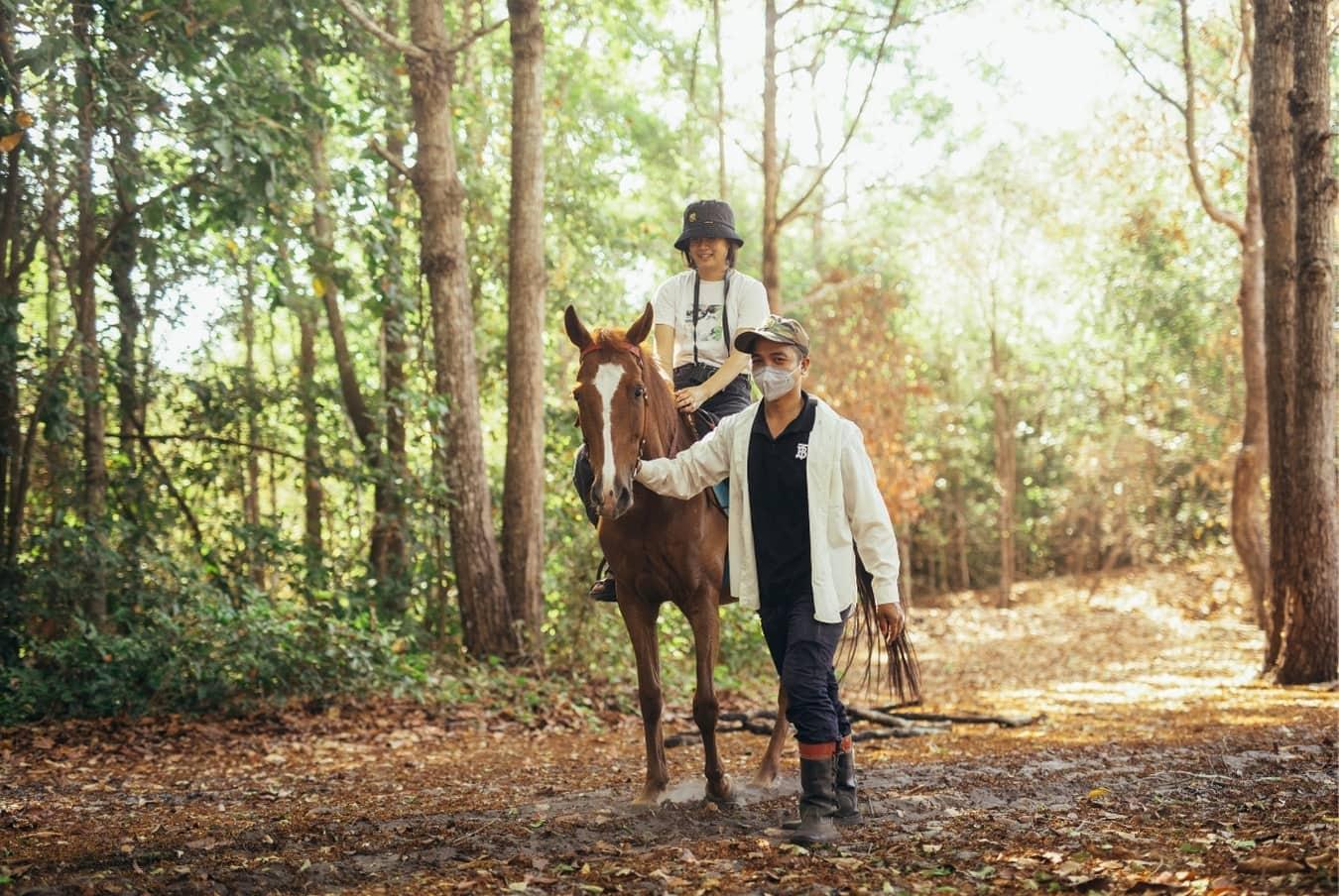 Horse Riding at Cicada