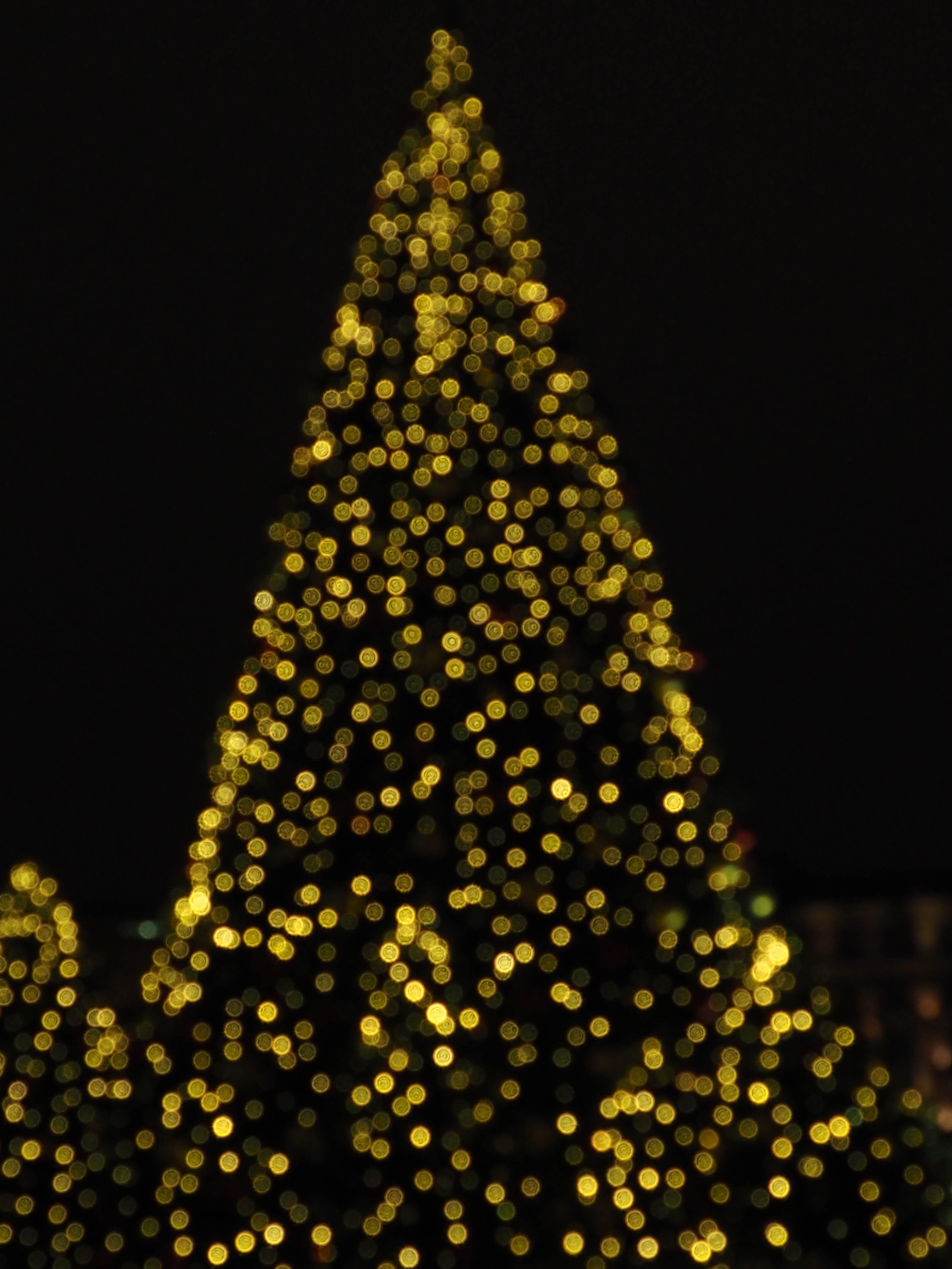 lighting christmas trê