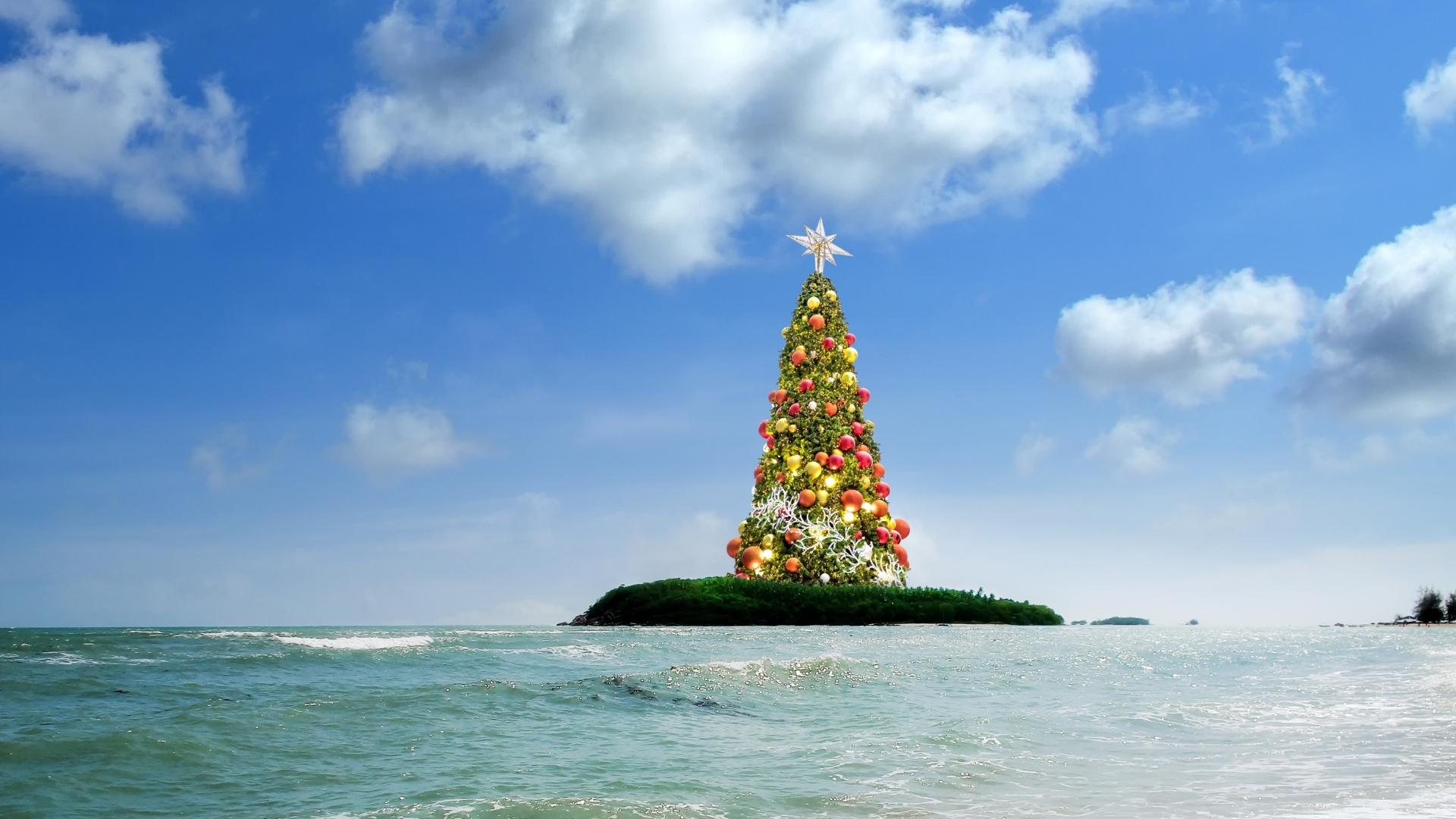 a christmas tree in the oasis