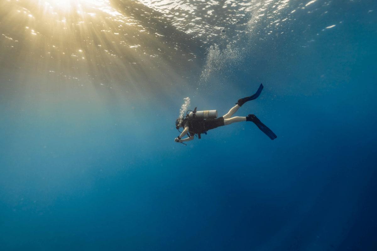 Rannamaari Dive Fest 2025