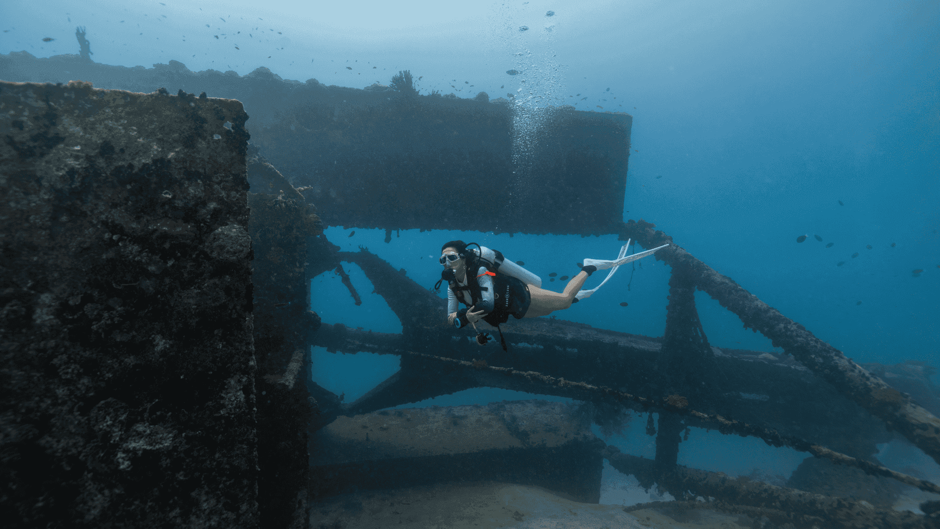 Rannamaari Shipwreck Dive