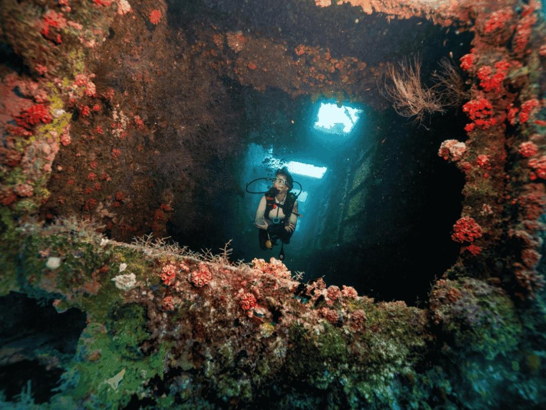 Dive More Pay Less