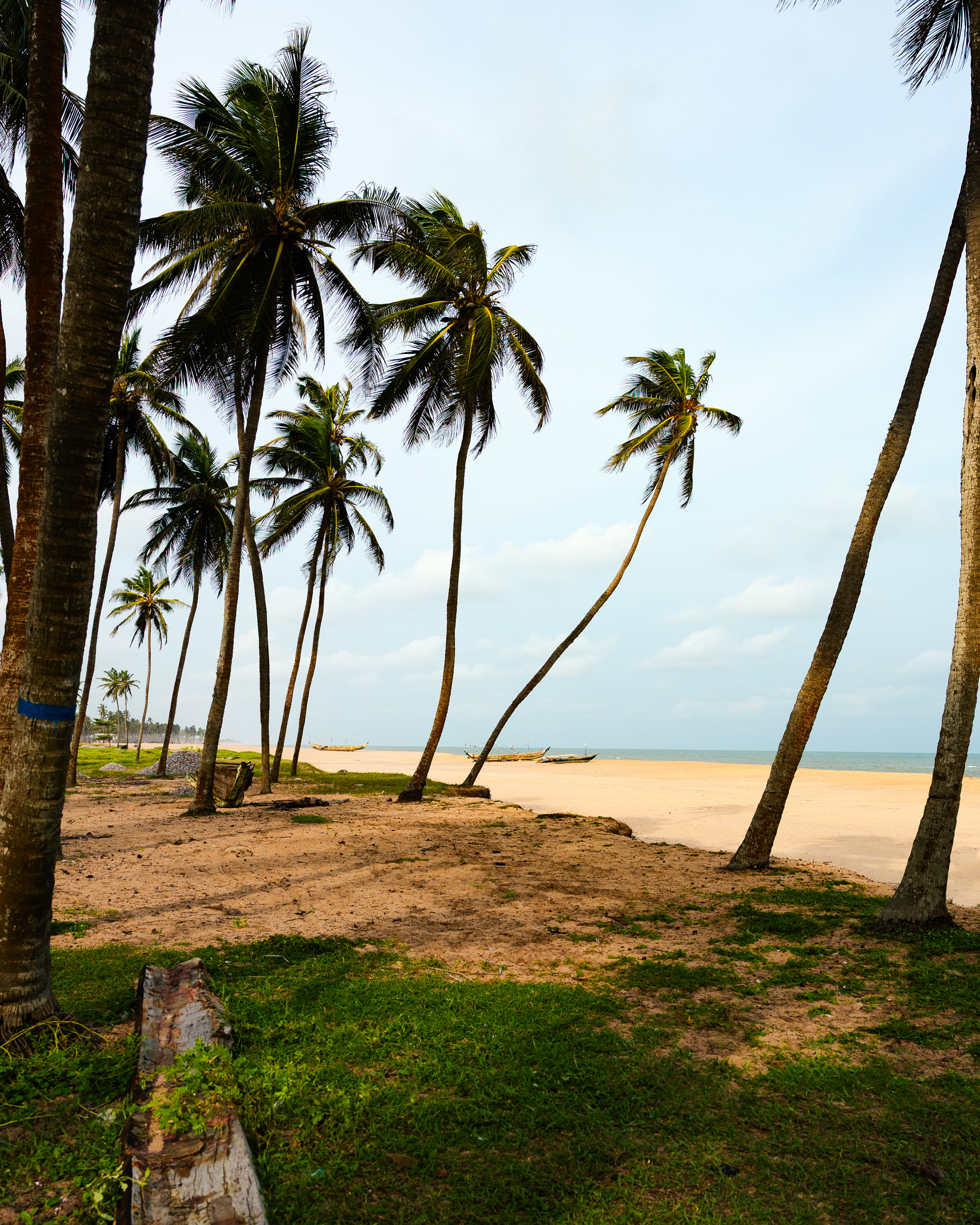 Dhawa Ouidah No return