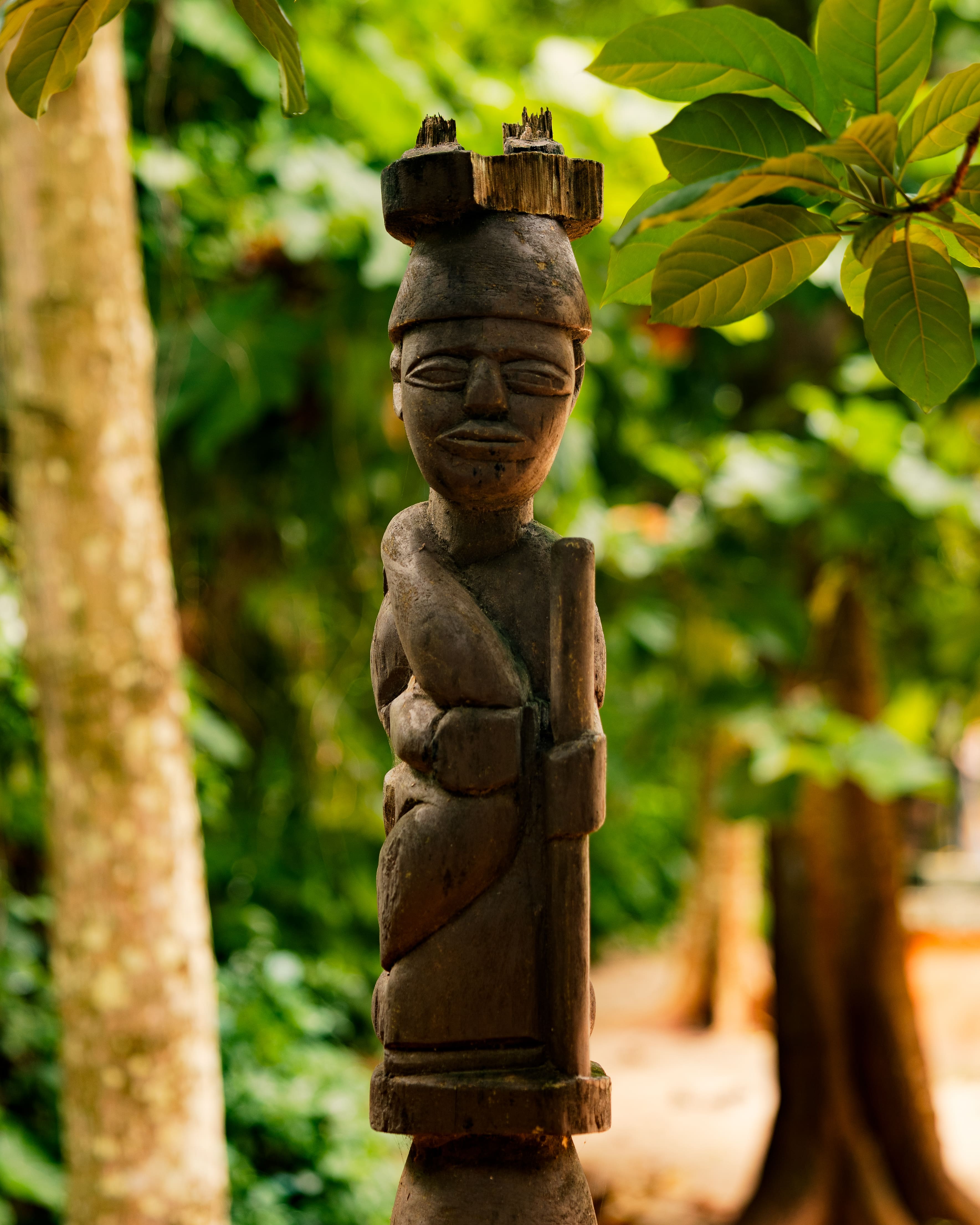 forest benin